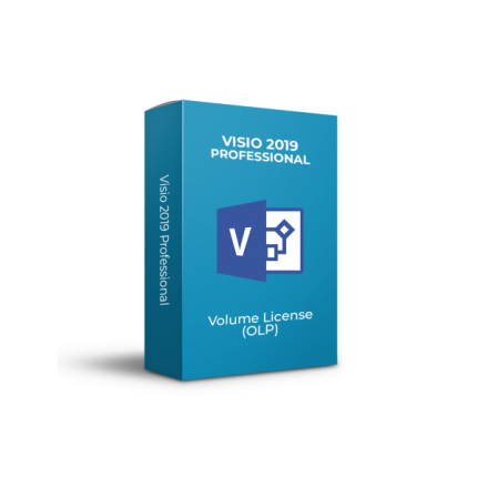 D87-07499 Microsoft Visio Professional 2019 OLP 1 Poste