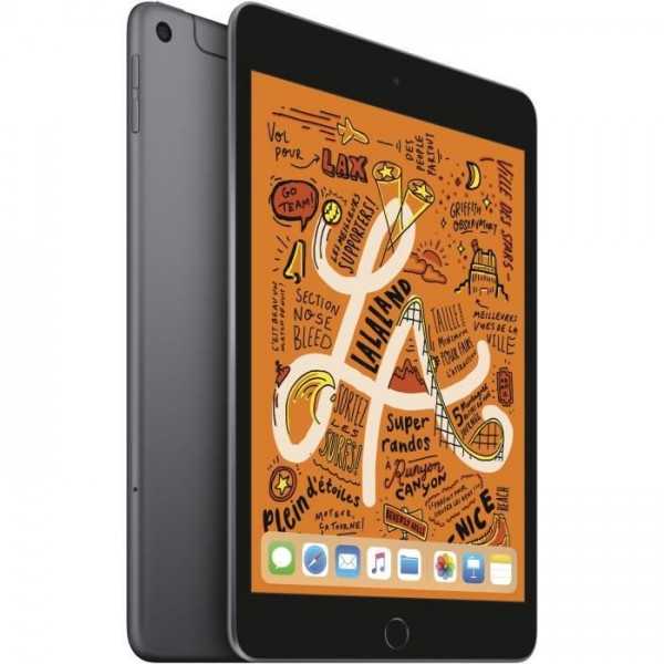 ipad-mini-wi-fi-cellular-256-go.jpg