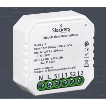 module deux interrupteurs